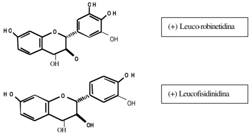 Figura 2  - Principais monoflavonóides encontrados nos taninos condensados  (BARBOSA, 1990)