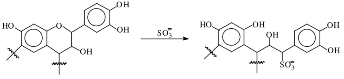 Figura 4 - Sulfitação dos taninos condensados. 