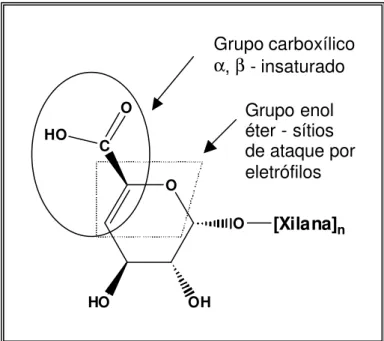 Figura 2 – Grupos funcionais do ácido hexenurônico. 