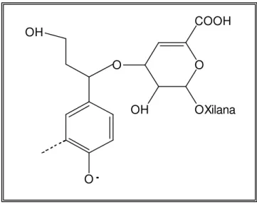 Figura 4 - Ligação covalente entre o AHex e a lignina, conforme proposto por  JIANG et al