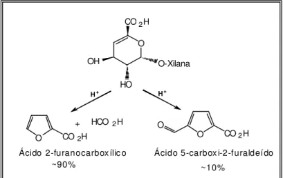 Figura 5 – Produtos de hidrólise ácida do ácido hexenurônico. OOHCO2HHOO-XilanaOOCO2HOCO2H+HCO2H