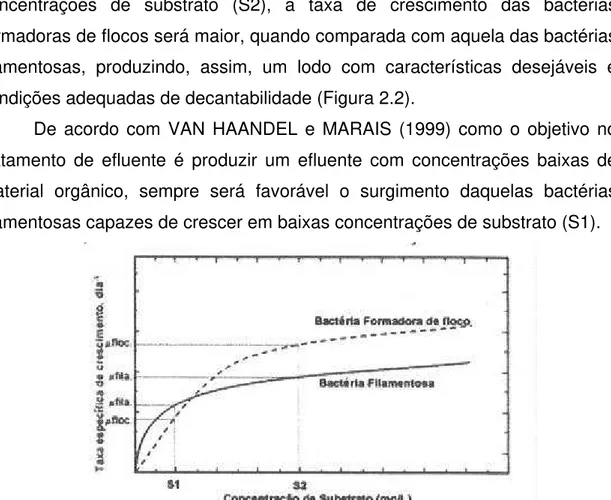 FIGURA 2.2  Crescimento específico das bactérias formadoras de flocos e  das  bactérias  filamentosas em função da concentração de  substrato em um sistema de mistura completa