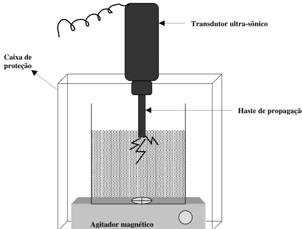 Figura 4- Esquema representando a ultra-sonificação laboratorial da polpa. 