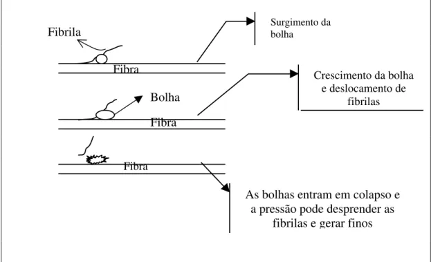 Figura 11- Atuação da cavitação no desprendimento de fibrilas. 