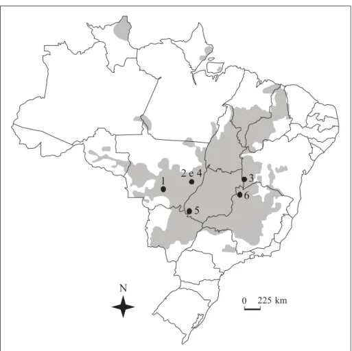 Figura 1 - Área ocupada pelo bioma Cerrado no Brasil (em cinza), adaptado de  B RIDGEWATER  et al