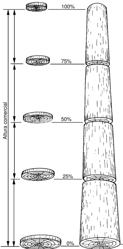 Figura 3 -  Esquema adotado para a coleta das amostras para análises  laboratoriais, adaptado de VITAL (1984)