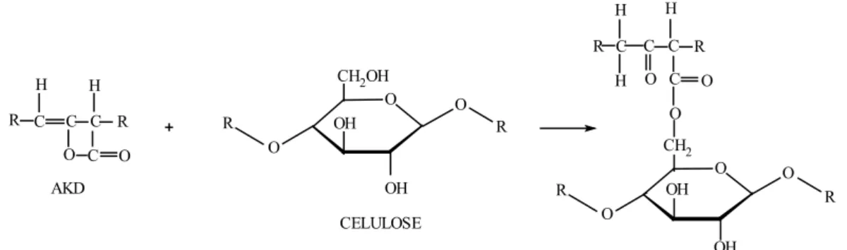Figura 2 - Reação do agente de colagem AKD com o grupo hidroxílico na  celulose (WALKDEN, 1996)