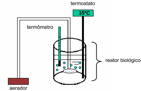 Figura 3.2 – Esquema laboratorial do RBS utilizado no experimento. 