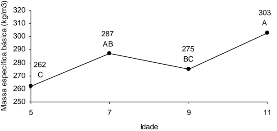 Figura 8 - Variação da massa específica básica da madeira em função da  idade das árvores