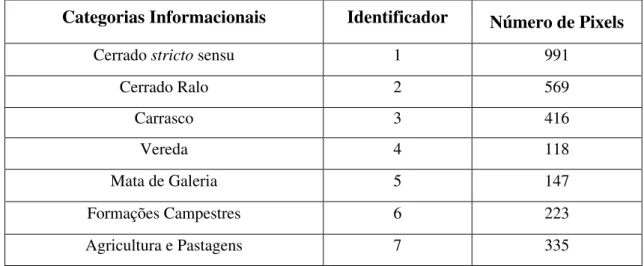 Figura 9  – Polígonos utilizados  para amostra de treinamento do classificador e  suas distribuições espaciais no Parque Nacional Grande Sertão  Veredas