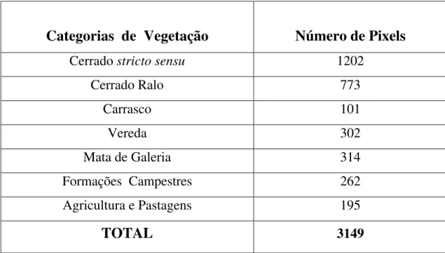 Tabela 4 – Número de pixels da amostra de verificação da exatidão por categoria  de vegetação 