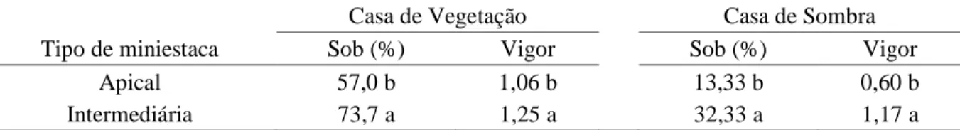 Tabela  8  –  Sobrevivência  (Sob)  e  vigor  de  miniestacas  de  seis  progênies  de  vinhático  (Plathymenia  foliolosa),  na  saída  da  casa  de  vegetação  e  na  saída  da  casa  de  sombra,  em  função do tipo de miniestaca