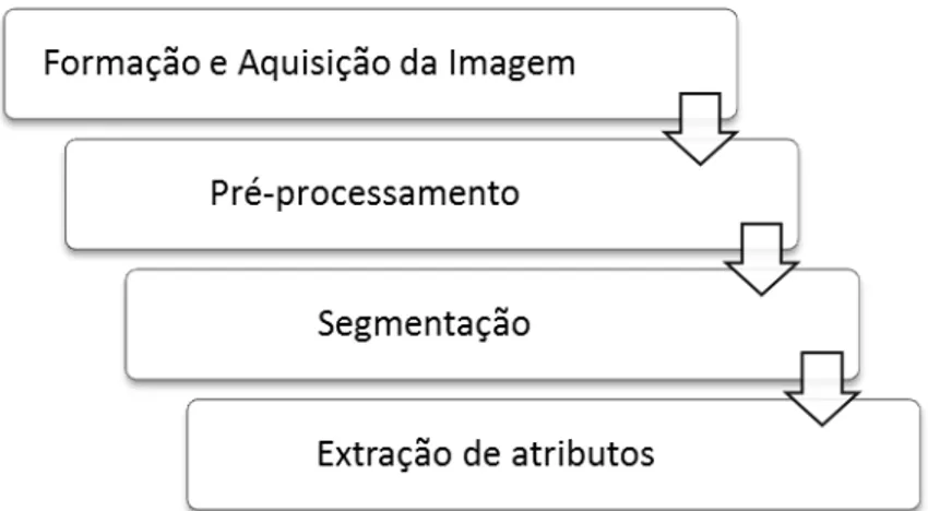 Figura 1  – Etapas de um sistema de processamento digital de imagens.  