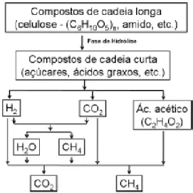 Figura 2  -  Representação esquemática do processo de fermentação entérica,  que ocorre no  pré-estomago dos animais ruminantes