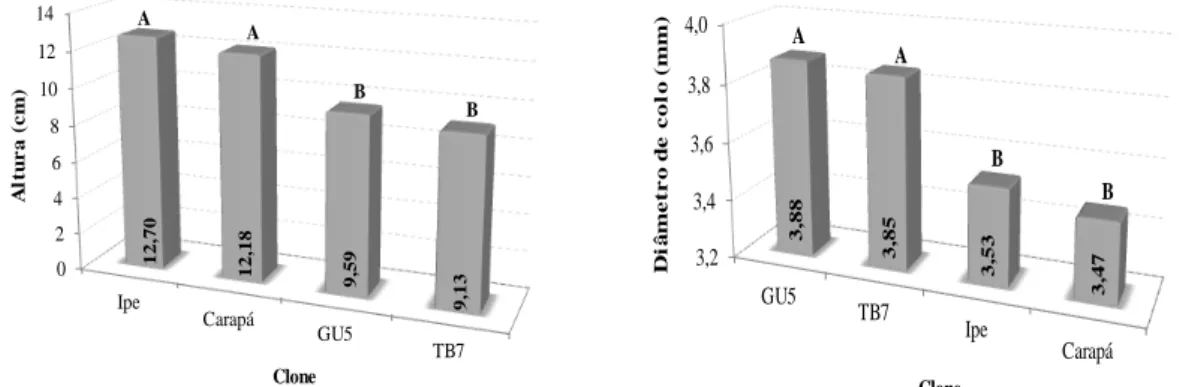 Tabela 2  – Resumo da análise de variância para altura (h), diâmetro de colo (dc),  em  função  da  resposta  ao  armazenamento  entre  coleta/preparo  e  estaqueamento  de  miniestacas  de  quatro  clones  de  Tectona  grandis,  após  55  dias  do  estaqu