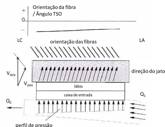 Figura  3  –  Circulação  exagerada  afetando  no  perfil  de  orientação  das  fibras 