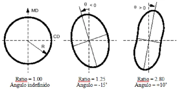 Figura 5  – Distribuição polar das fibras 