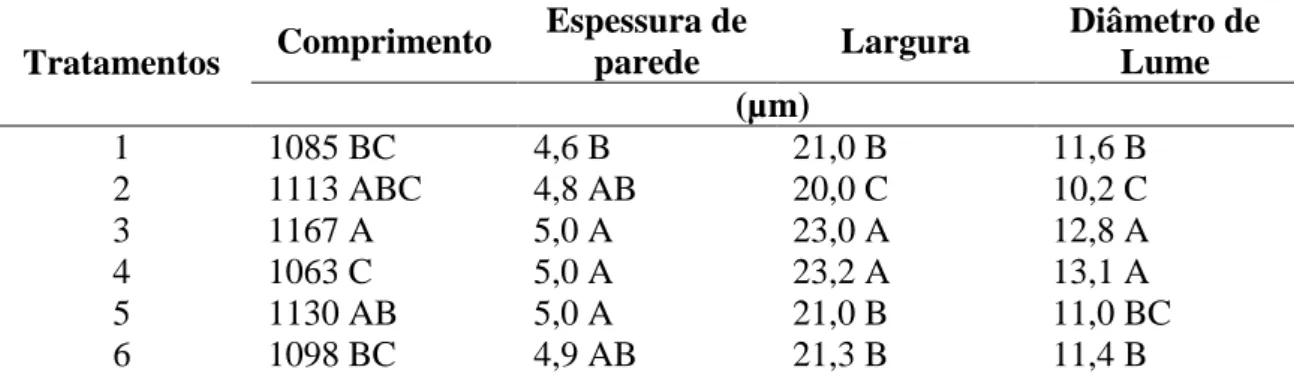 Tabela  3.  Valores  médios  de  comprimento,  espessura  de  parede,  largura  de  fibra  e  diâmetro de lume da madeira de acácia e eucalipto plantados em consórcio, com 6 anos  de idade