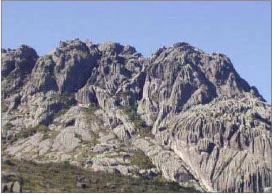 Figura 3 – Pico das Agulhas Negras - Parque Nacional do Itatiaia.  Fonte: IBAMA, 2005d 