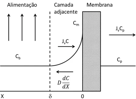 Figura 5 - Polarização de concentração, perfil de concentrações em estado  estacionário na fase fluida adjacente à membrana (MULDER, 1990)