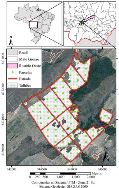 Figura 1. Área de estudo e localização das parcelas, talhões e estradas florestais. 