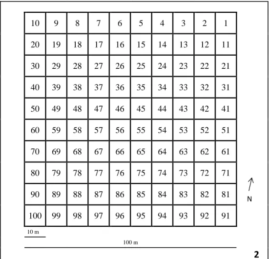 Figura 1.3 - Esquema do bloco de parcelas contiguas no local 2 com a numeração  de cada sub-parcela.