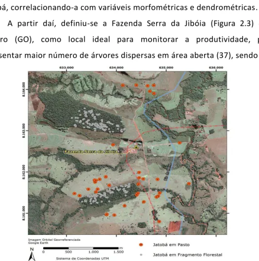 Figura 2.3 - Faz. Serra da Jibóia com indicação das árvores mapeadas de 