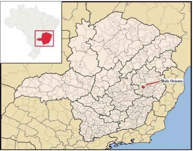 Figura 1 - Localização geográfica do Município de Belo Oriente . 