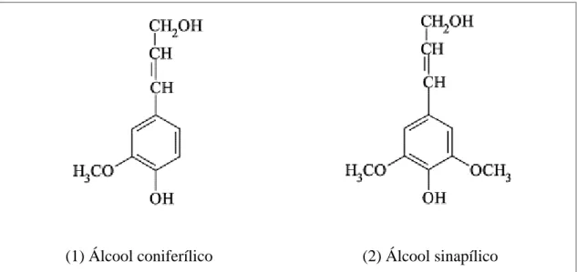 Figura 1 - Estrutura química dos álcoois precursores das unidades aromáticas guaiacila  (1) e siringila (2) presentes na molécula de lignina do tipo guaiacila-siringila