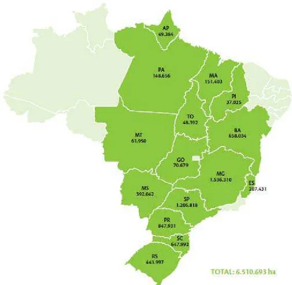 Figura 1: Área e distribuição de plantios florestais (Eucalyptus e Pinus) no Brasil no  ano de 2010