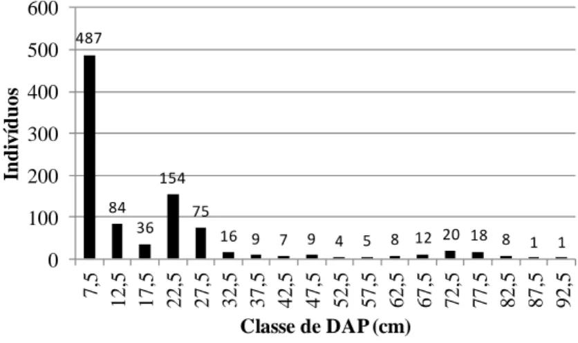 Figura 8 - Distribuição das palmeiras em classes de diâmetro durante o ano de 2011 no  campus-sede da UFV