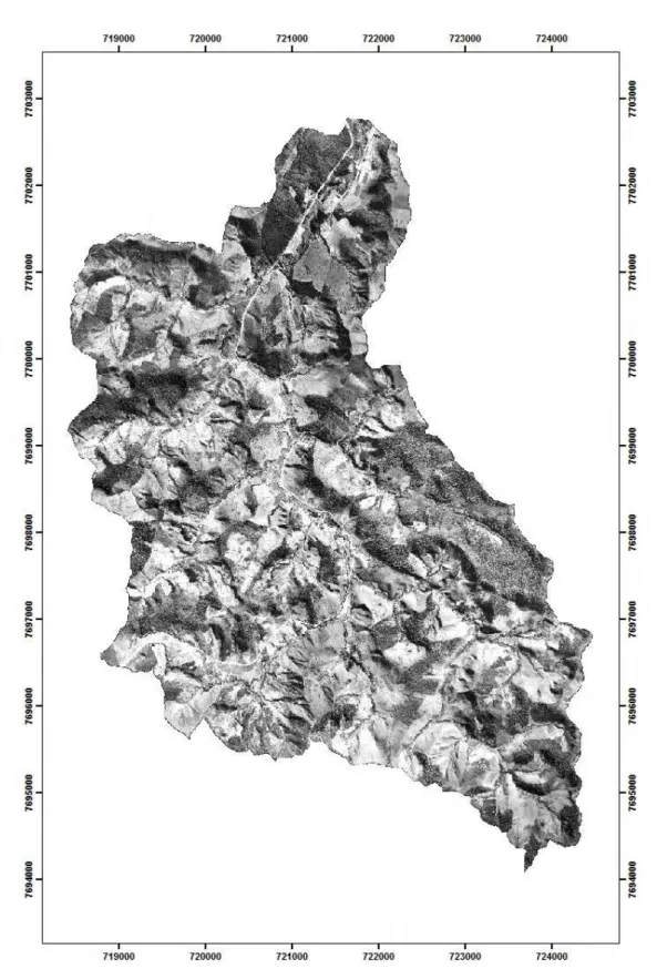 Figura 2 – Mosaico da bacia do ribeirão São Bartolomeu, município de Viçosa, Minas  Gerais, produzido com as fotografias do ano de 1963