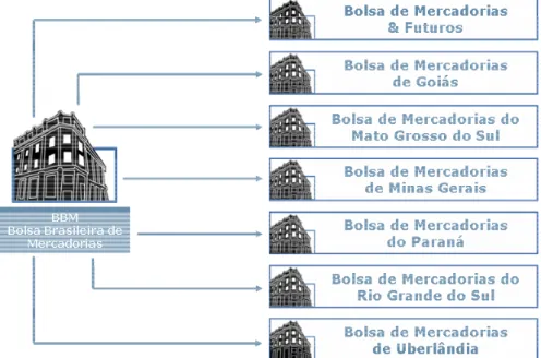 Figura 7 – Bolsas que se uniram para criar a Bolsa Brasileira de Mercadorias  (BBM). 