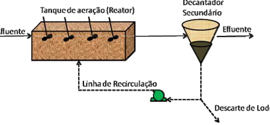 Figura  1  - Esquema das unidades de um sistema de lodos ativados convencional. 