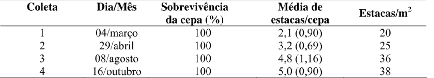Tabela 1- Sobrevivência e número médio de estacas por cepa e por m 2  de jequitibá-rosa, em  cada coleta, em jardim clonal