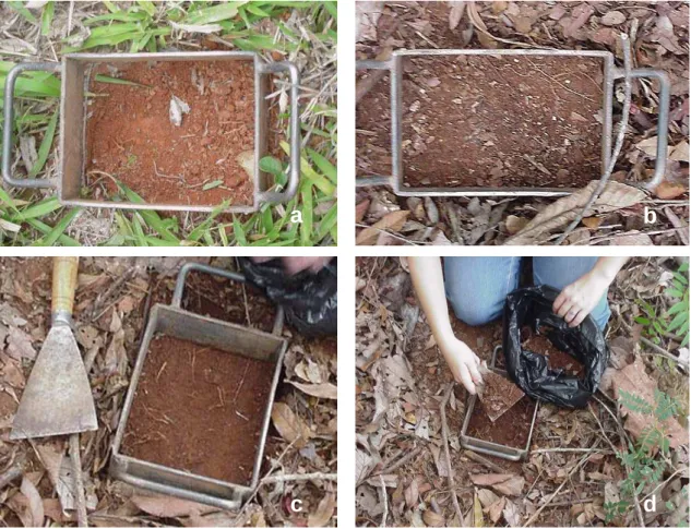 Figura 5 -  Materiais utilizados na coleta do solo para análise do banco de  sementes do solo em área de pastagem (a) e em área de floresta  natural (b, c, d), em Paula Cândido, MG