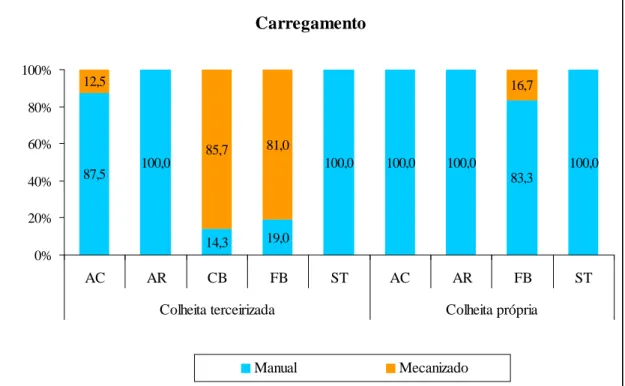 Figura 9 – Carregamento da madeira. 