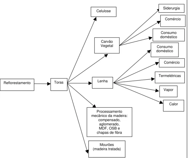 Figura 1 - Fluxograma da cadeia produtiva da madeira de reflorestamento. 