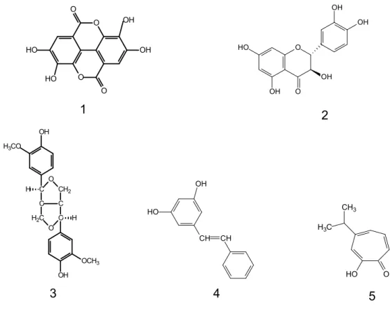 Figura 5 – Exemplos  de  extrativos fenólicos e similares: 1. tanino hidrolisável  (ácido elágico); 2