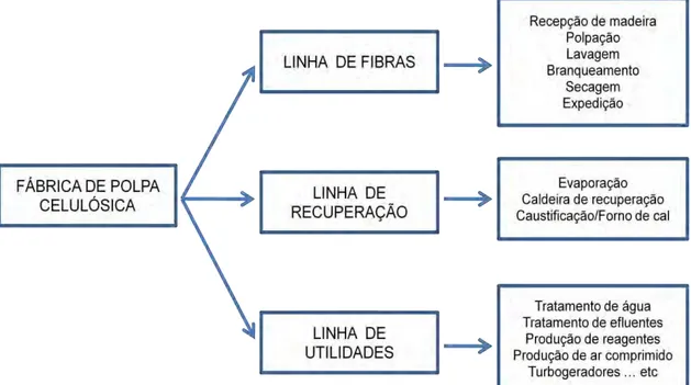 Figura 1 - Esquema de divisão dos processos produtivos das indústrias de polpa  celulósica