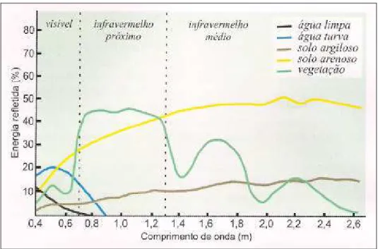 FIGURA 3: Curva espectral da vegetação, da água e do solo.  FONTE: FLORENZANO (2002). 