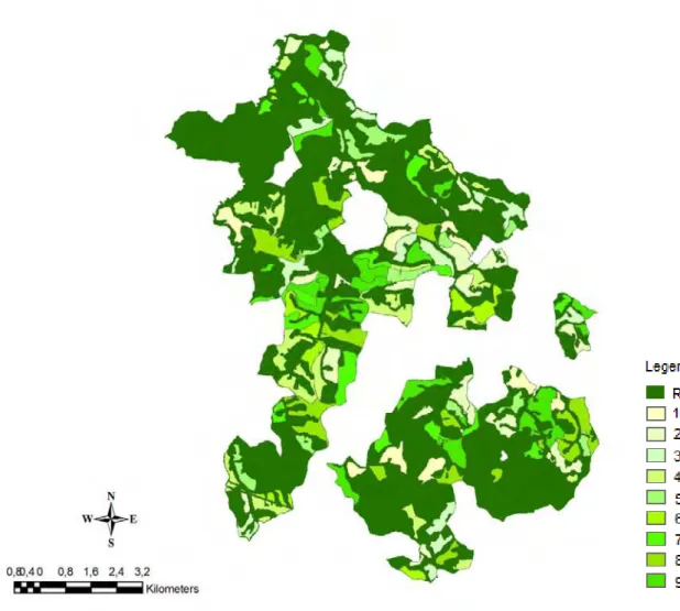 Figura 2.1: Distribuição espacial de classes de idade das áreas da fazenda modelo.