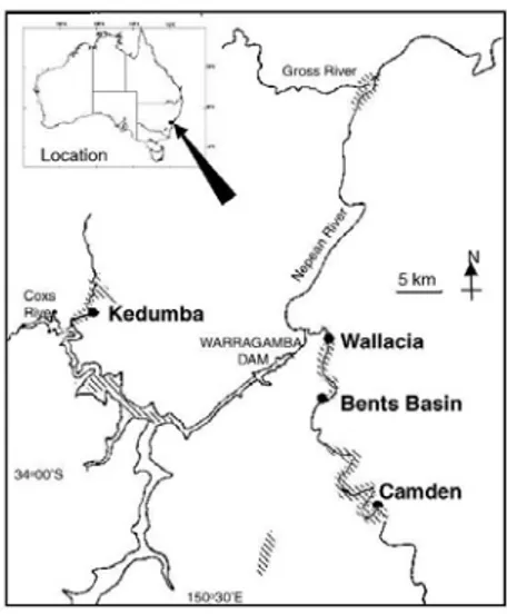 Figura 1 - Distribuição geográfica de  Eucalyptus benthamii  antes do  desmatamento Fonte: BUTCHER (2005)