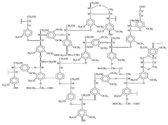 Figura 5 – Estrutura proposta para a lignina presente em madeira de angiosperma. 