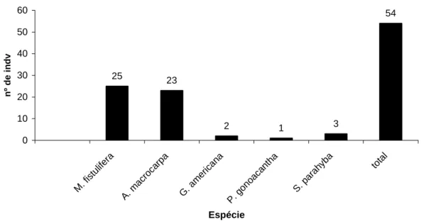 Figura 1 -  Número de indivíduos germinados ao todo no experimento, por espécie. 