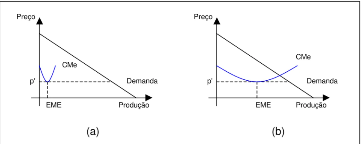 Figura 5 - Escalas mínimas de eficiência (Fonte: Varian, 1999).  