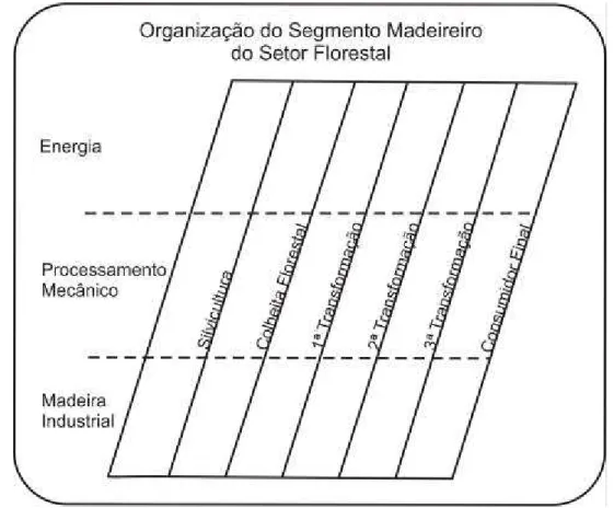 Figura  7  -  Organização do segmento madeireiro (Fonte:  adaptado de  Polzl et al., 2003)