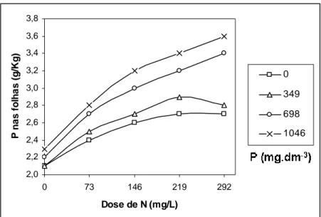 Figura 3 – Concentração média de P foliar em função de  doses de fósforo (P) aplicadas em substrato e de nitrogênio  aplicadas na ferti-irrigação (dados dos três clones)