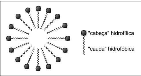 Figura 1 - Representação esquemática de uma micela de agentes tensoativos  em solução aquosa