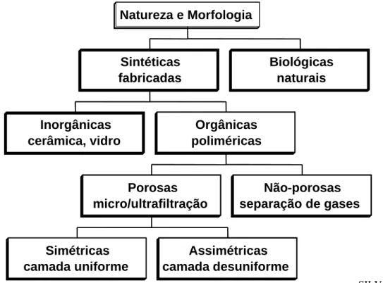 Figura 2 – Classificação das membranas 